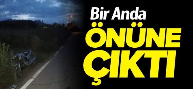 BİR ANDA ÖNÜNE ÇIKTI