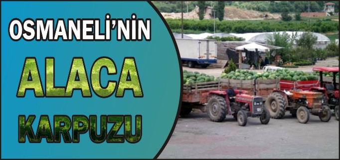 OSMANELİ’NİN ALACAKARPUZU
