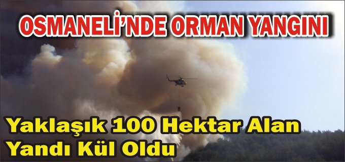 OSMANELİ’DE ORMAN YANGINI