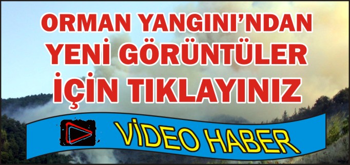OSMANELİ ORMAN YANGININDAN YENİ GÖRÜNTÜLER