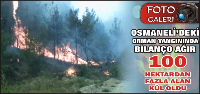 ORMAN YANGINININ BİLANÇOSU AĞIR