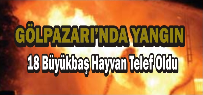 GÖLPAZARI’NDA AHIR YANGINI