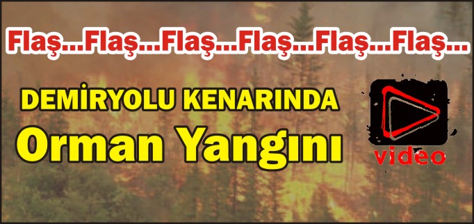 DEMİRYOLU KENARINDA ORMAN YANGINI