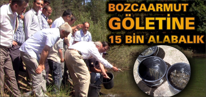 BOZCAARMUT KÖYÜ GÖLETİNE 15 BİN BALIK BIRAKILDI