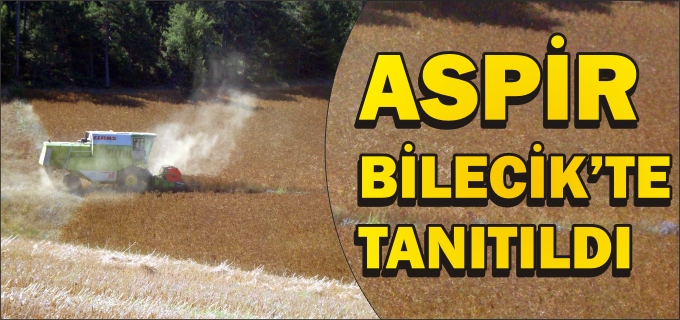 ASPİR BİTKİSİ TARLA GÜNÜNDE TANITILDI