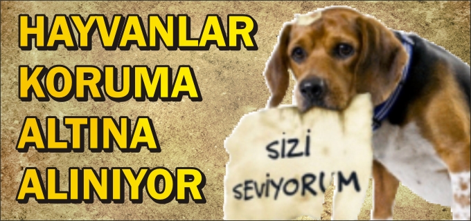 BİLECİK’TE HAYVANLARI KORUMA KURULU TOPLANTISI YAPILDI