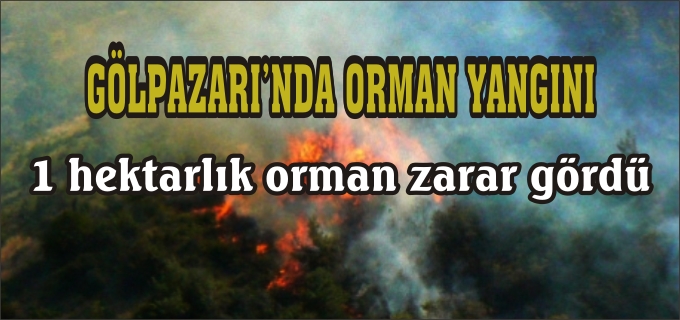 GÖLPAZARI’NDA ORMAN YANGINI