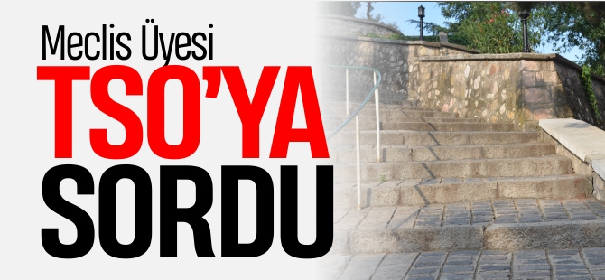 MECLİS ÜYESİ TSO'YA SORDU