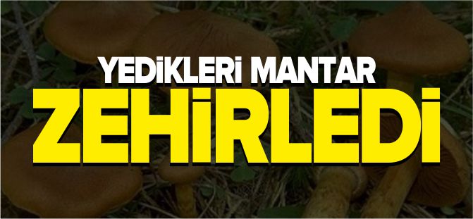 YEDİKLERİ MANTAR ZEHİRLEDİ