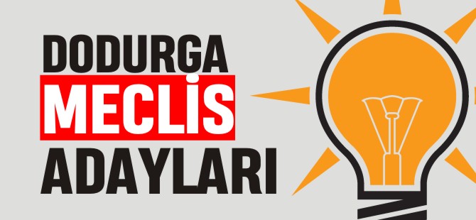 DODURGA MECLİS ADAYLARI