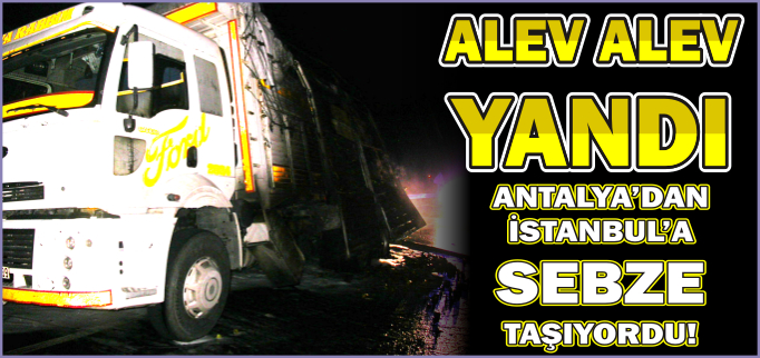 SEBZE YÜKLÜ KAMYON SEYİR HALİNDEYKEN YANDI