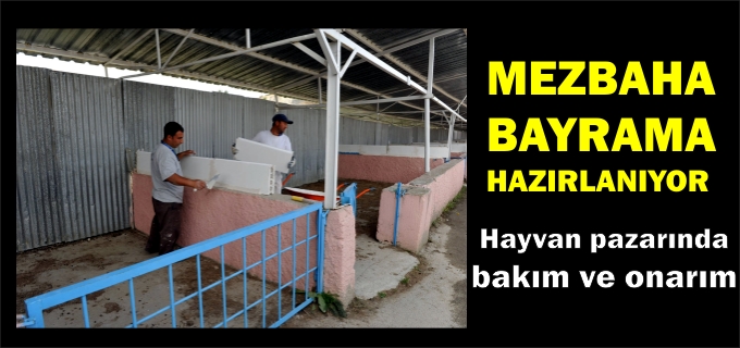 MEZBAHA BAYRAMA HAZIRLANIYOR