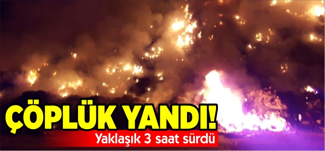 BİLECİK'TE ÇÖPLÜK YANGINI