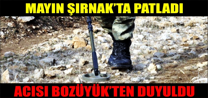 BOZÜYÜKLÜ BAŞÇAVUŞ MAYINA BASARAK YARALANDI