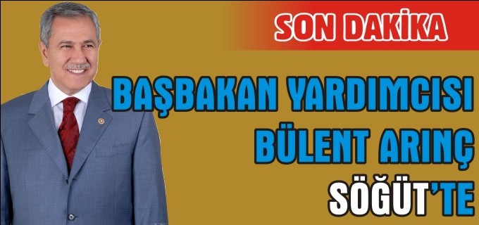 ARINÇ SÖĞÜT’TE
