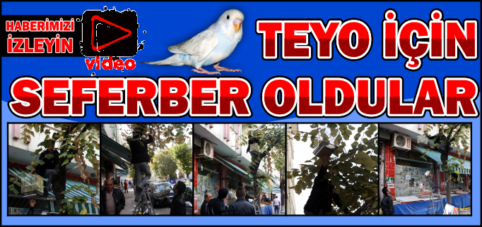 MUHABBET KUŞU İÇİN SEFERBER OLDULAR
