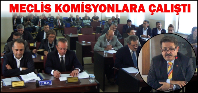 BELEDİYE MECLİSİ KOMİSYONLARA ÇALIŞTI