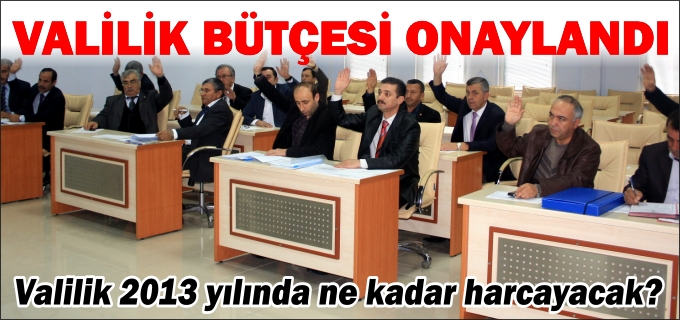 VALİLİK BÜTÇESİ ONAYLANDI