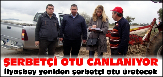 ŞERBETÇİ OTU YENİDEN CANLANIYOR