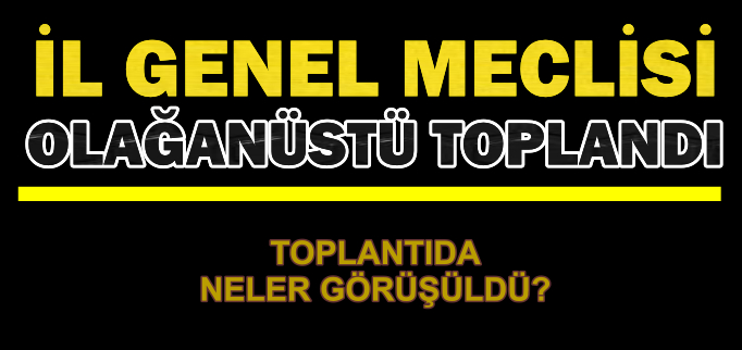 İL GENEL MECLİSİ OLAĞANÜSTÜ TOPLANDI