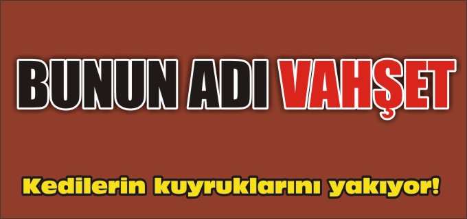 BUNUN ADI VAHŞET