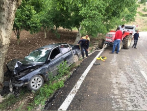 YOLDAN ÇIKTI AĞACA ÇARPTI