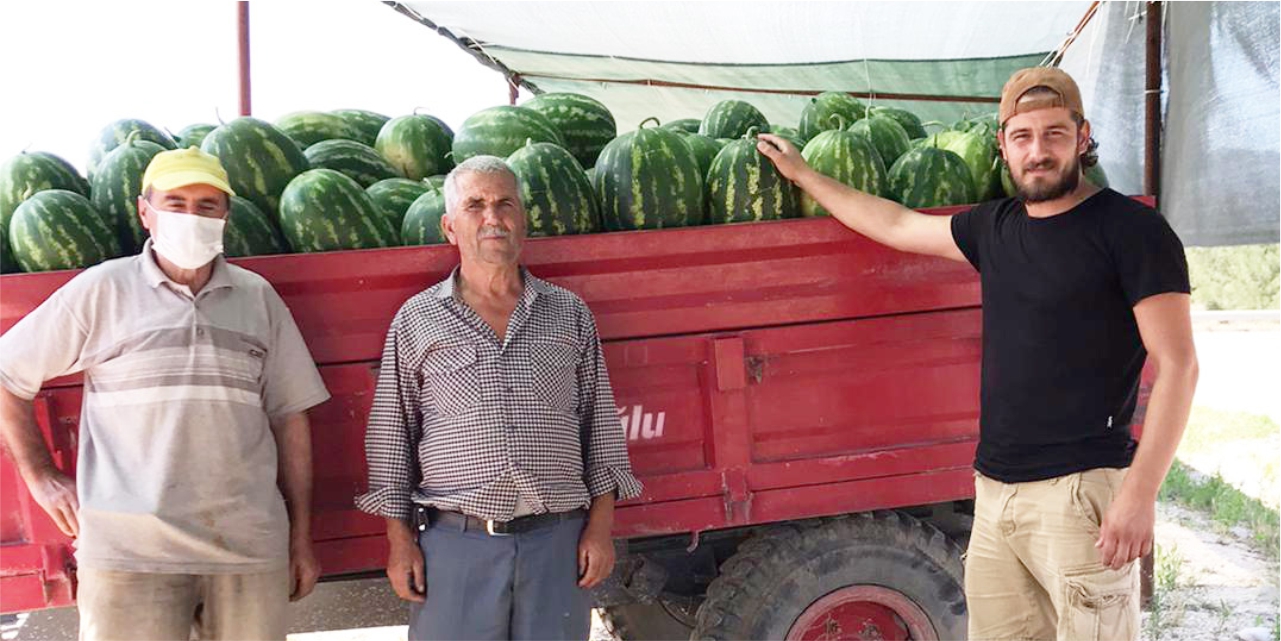 Osmanelili karpuz üreticisi HAL'den memnun