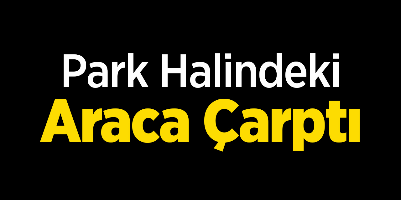 Park halindeki araca çarptı