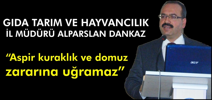 "ASPİR KURAKLIK VE DOMUZ ZARARINA UĞRAMAZ"