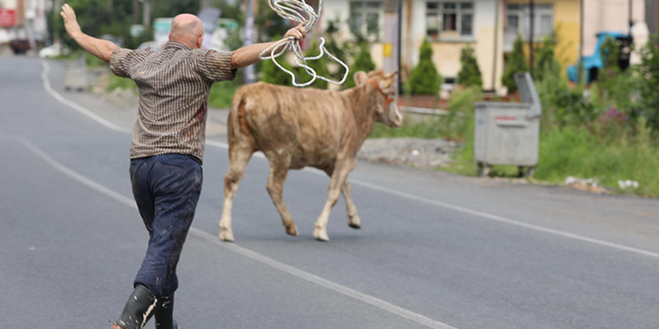 Bıçaktan kurtuldu 2 gündür aranıyor