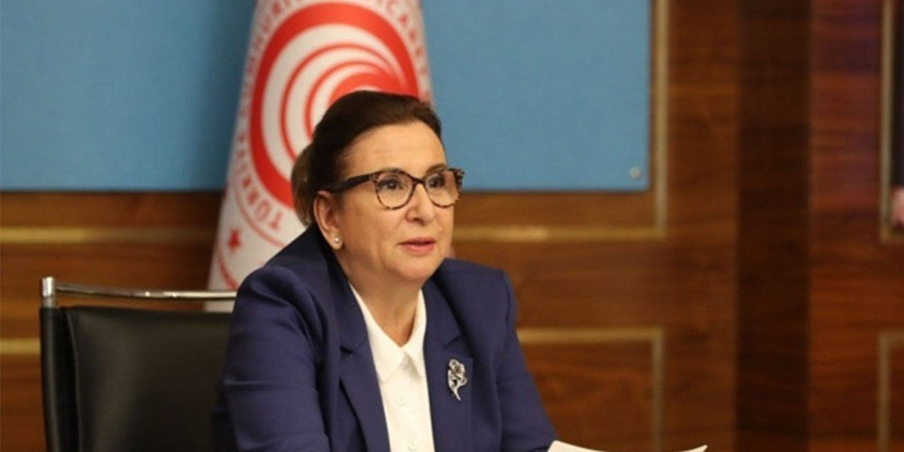 İkinci el araçta yeni düzenleme