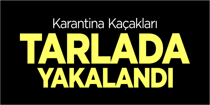 Karantina kaçakları tarlada yakalandı