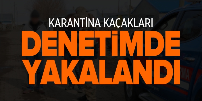 Karantina kaçakları denetimde yakalandı