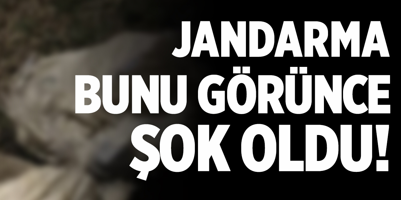 Jandarma bunu görünce şok oldu