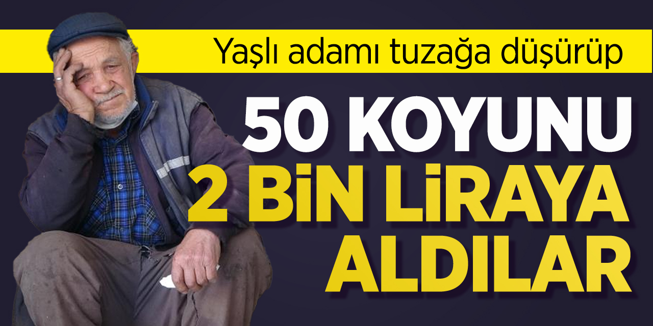 Yaşlı adamı tuzağa düşürüp 50 koyunu 2 bin liraya aldılar