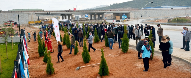 1 yılda 8 milyondan fazla fidan dikildi