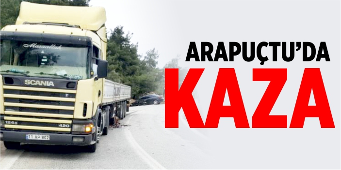 Arapuçtu'da kaza