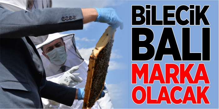 Bilecik balı marka olacak