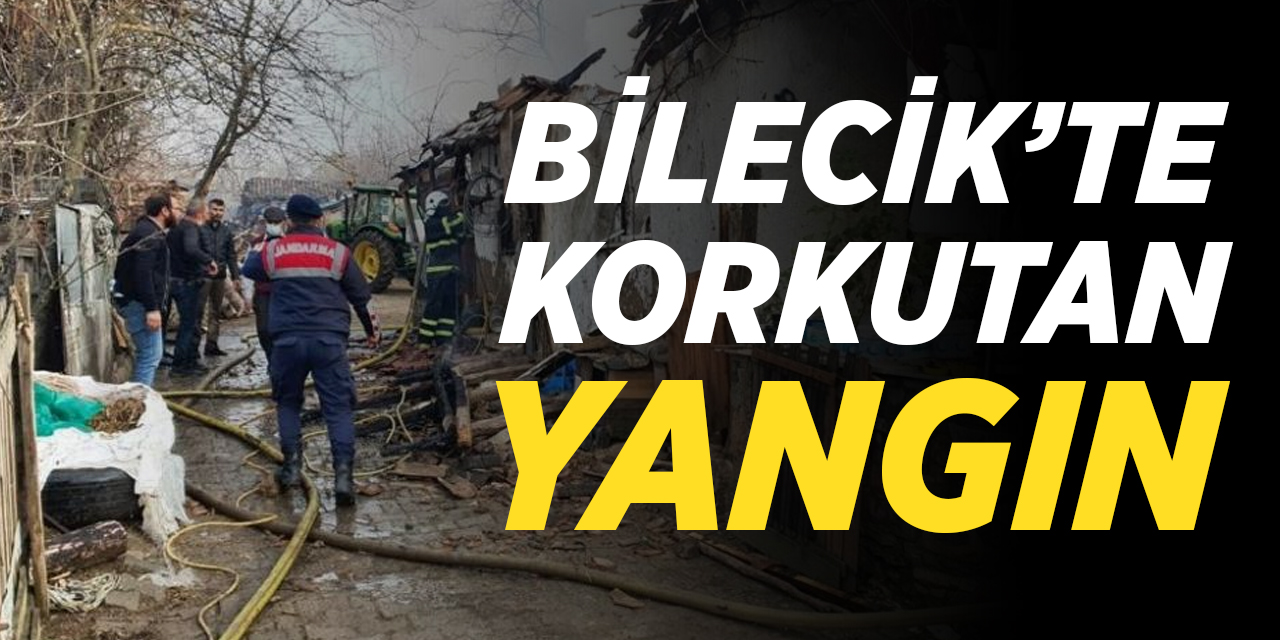 Bilecik'te Korkutan Yangın!