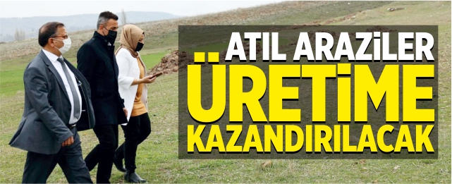 Atıl araziler üretime kazandırılacak