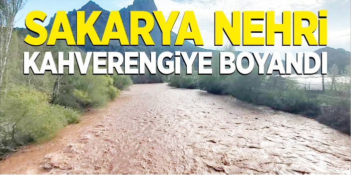 Sakarya Nehri kahverengiye boyandı