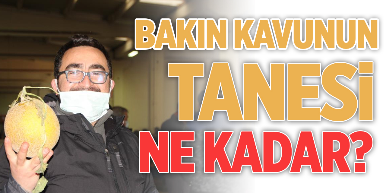 Bakın kavunun tanesi ne kadar?