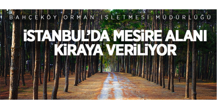 Mesire alanı kiraya verilecek