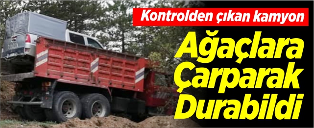 Kontrolden çıkan kamyon ağaçlara çarparak durabildi