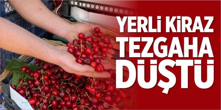 Yerli kiraz tezgaha düştü