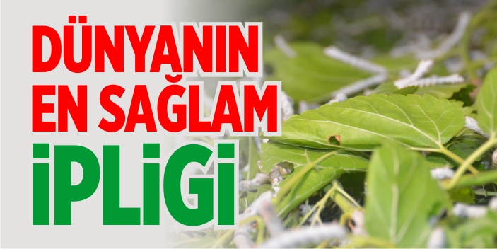 Dünyanın En Sağlam İpliği