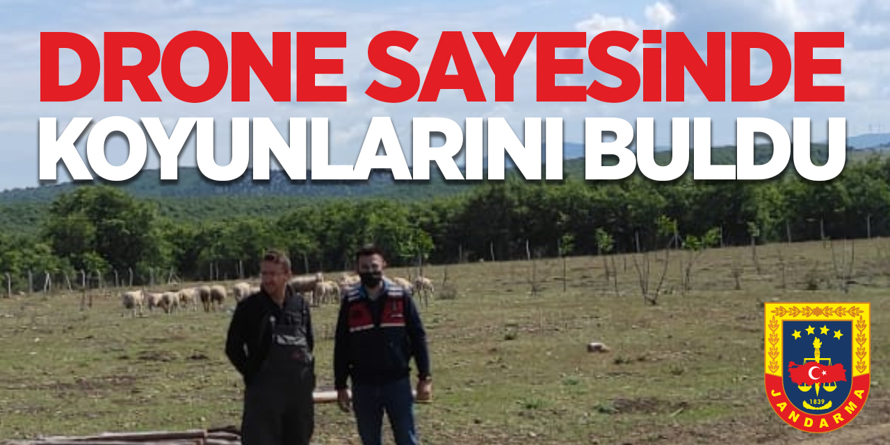 Drone sayesinde koyunlarını buldu