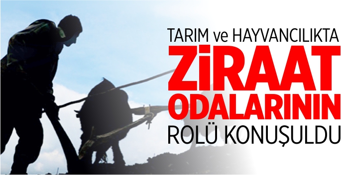 Tarım ve hayvancılıkta ziraat odalarının rolü konuşuldu