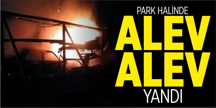 Park halinde alev alev yandı