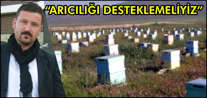 "ARICILIĞI DESTEKLEMELİYİZ"